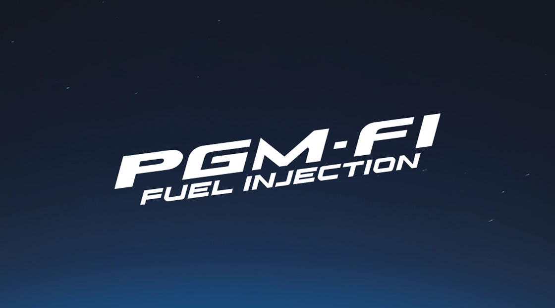 PGM FI system
